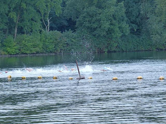 Freiwasser Haltern 2017 (46)