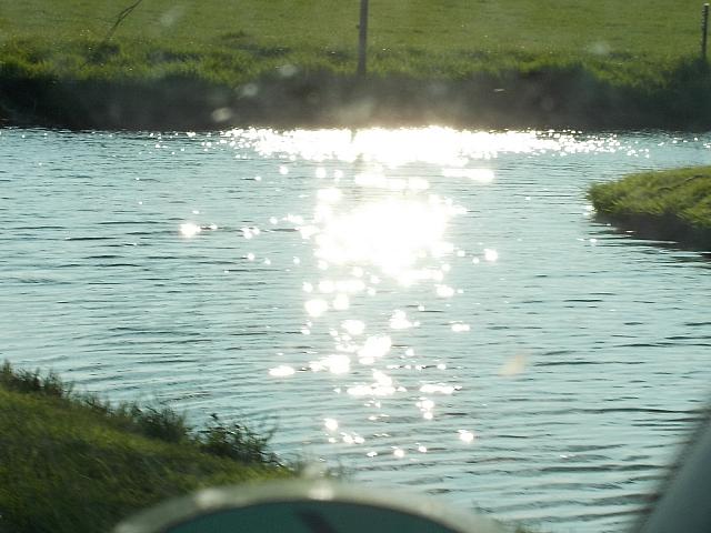 DSCN1387