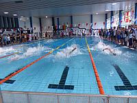 41. Internationales Schwimmfest 2015