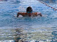 DMSJ Bochum 2015 (112)